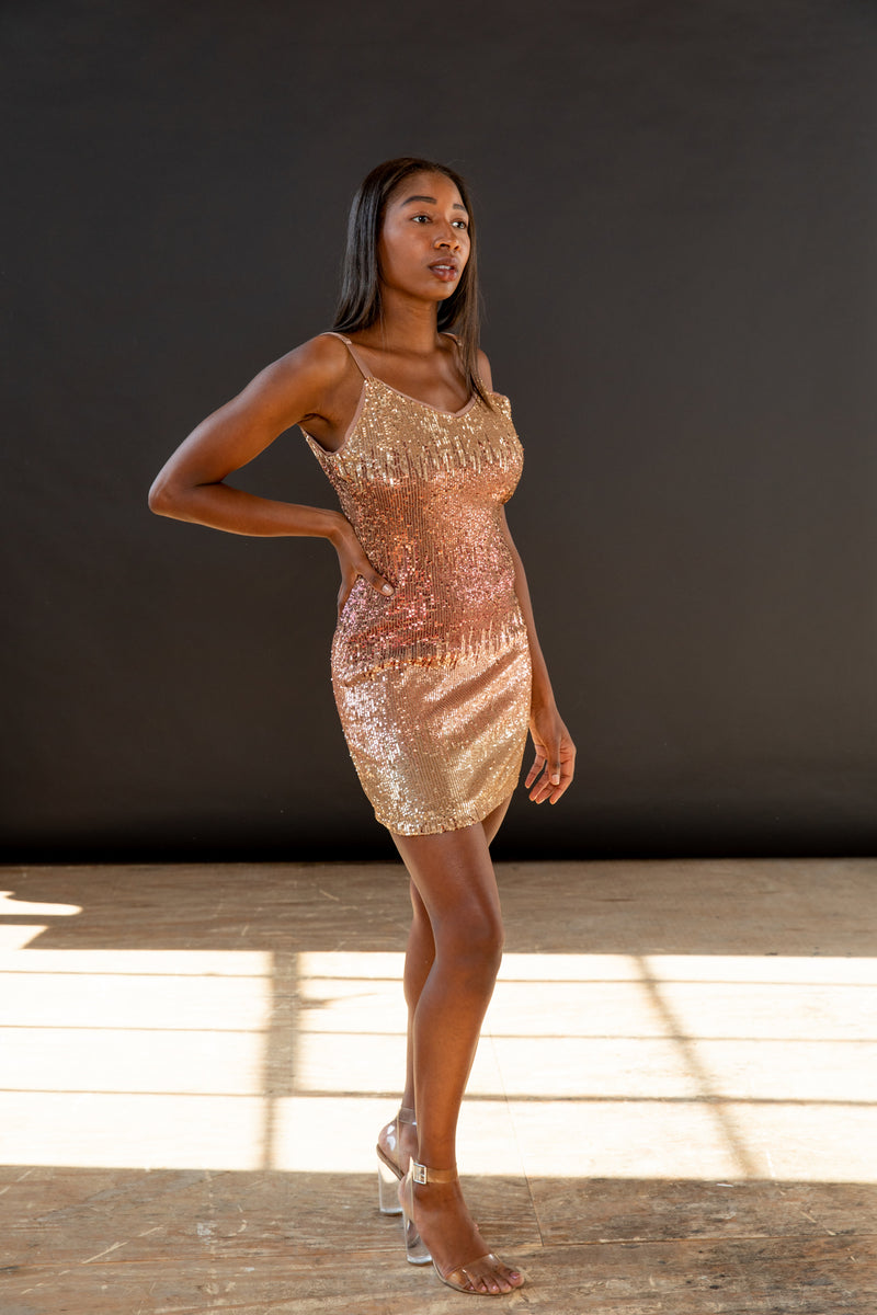 HONEY MINI DRESS – WATERMOON HONEY MINI DRESS – WATERMOON