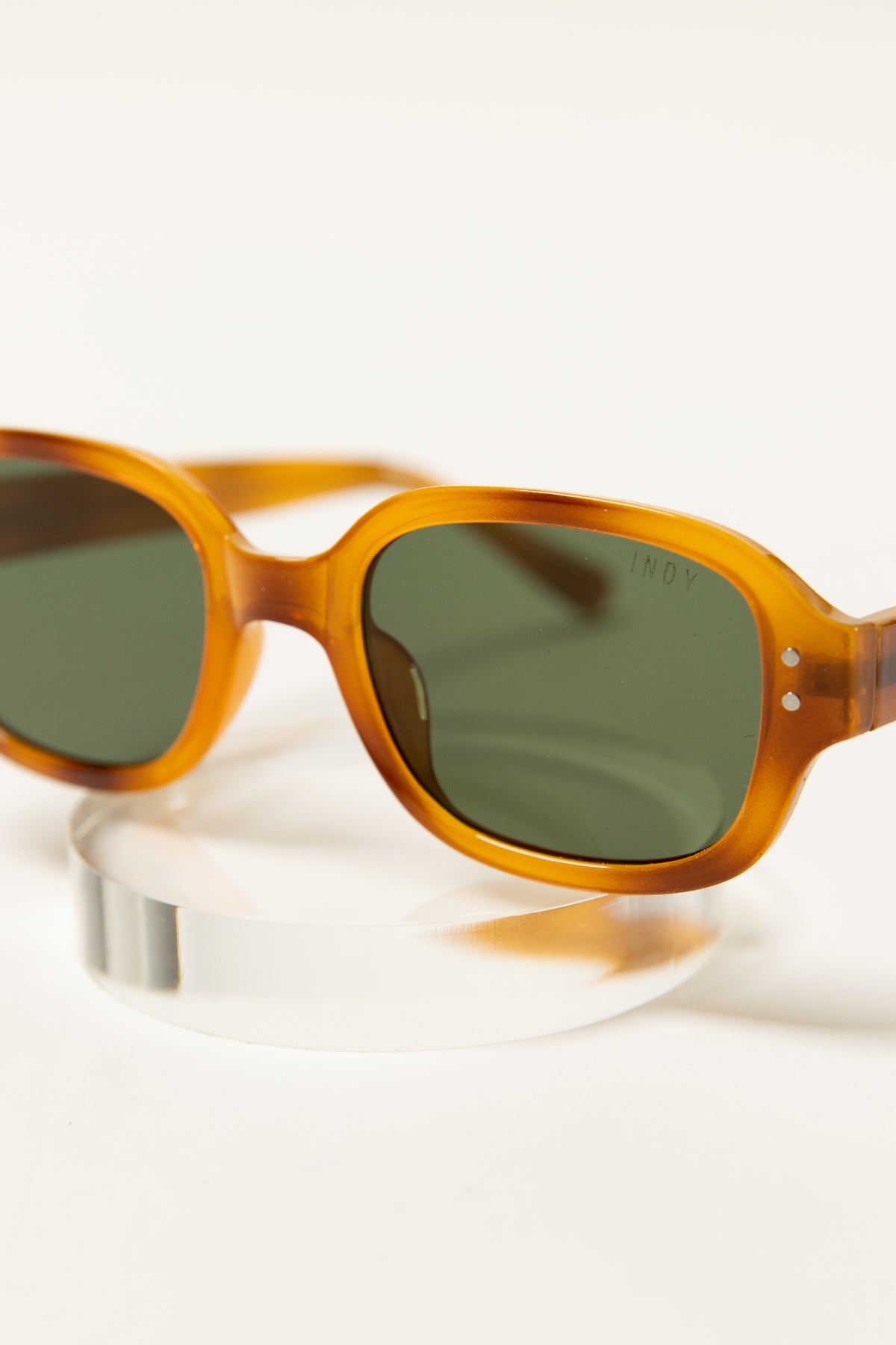 amber tortoise frame billie by Indy sunglasses